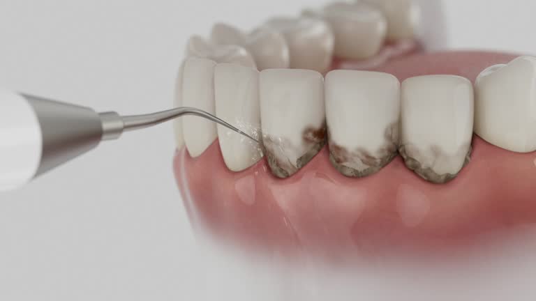 Reliable Dental contractor in Cape Carteret, NC by Dentist Open Now